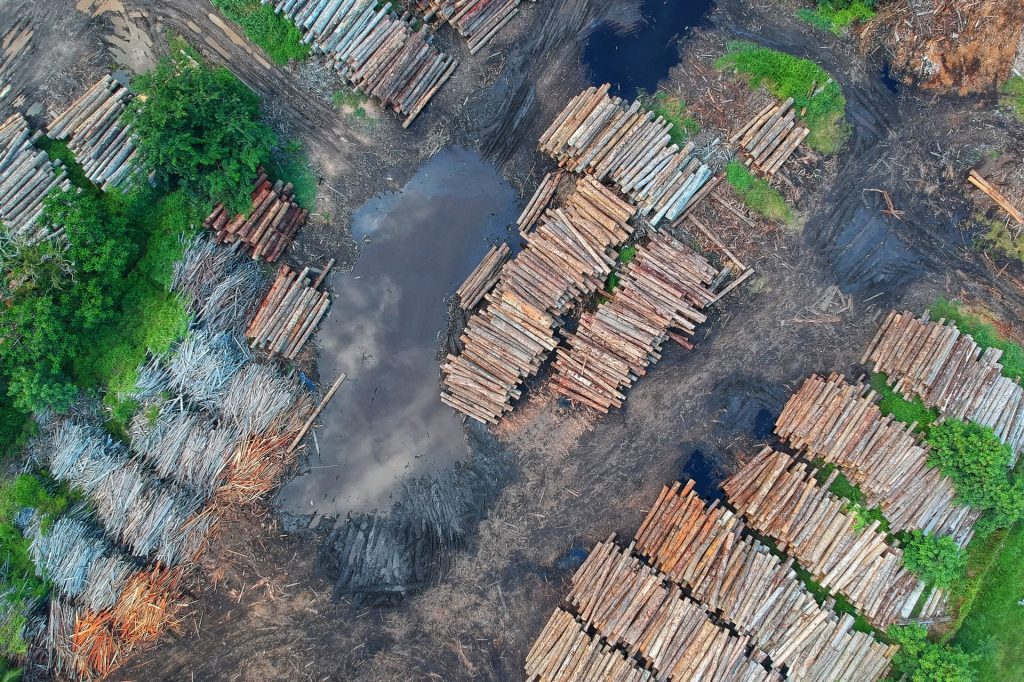 Aerial view of logging activities. Photo by Pok Rie from Pexels