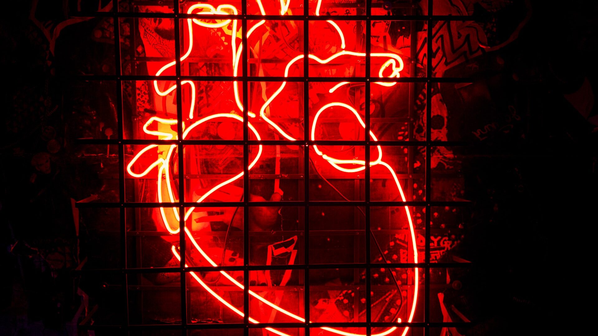 Neon outline of a human heart. Photo by Olivier Collett on Unsplash